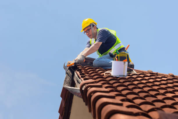 Best Gutter Installation and Repair  in Avonmore, PA